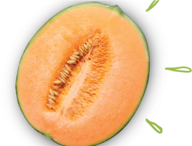 Cantaloupe Half Transparent PNG Image