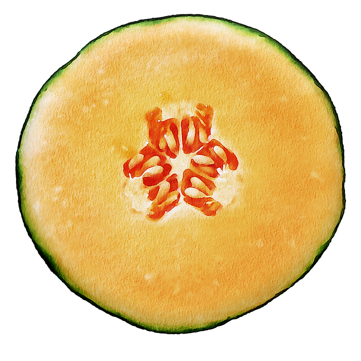 Cantaloupe Half Transparent PNG Image