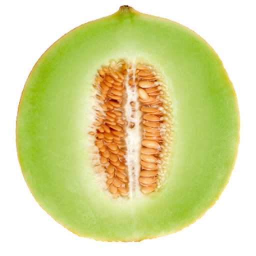 Cantaloupe Half Transparent PNG Image
