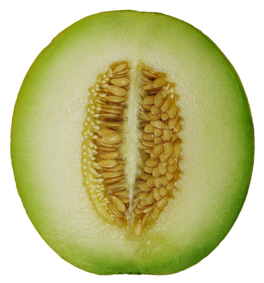 Cantaloupe Half Transparent PNG Image