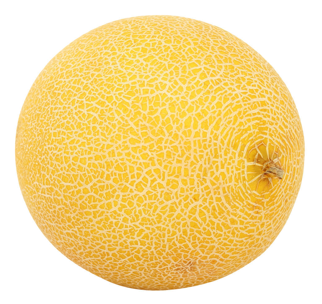 Cantaloupe Yellow Transparent PNG Image