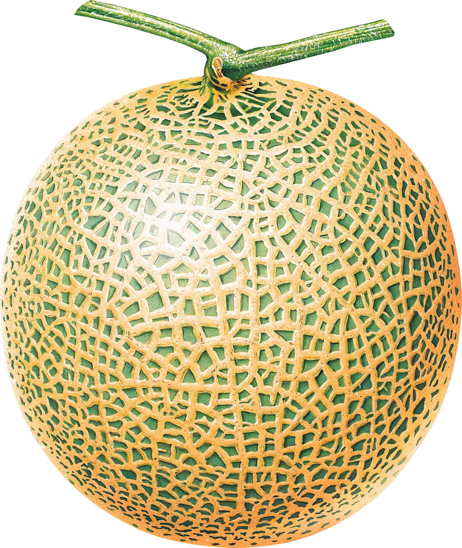Cantaloupe Yellow Transparent PNG Image