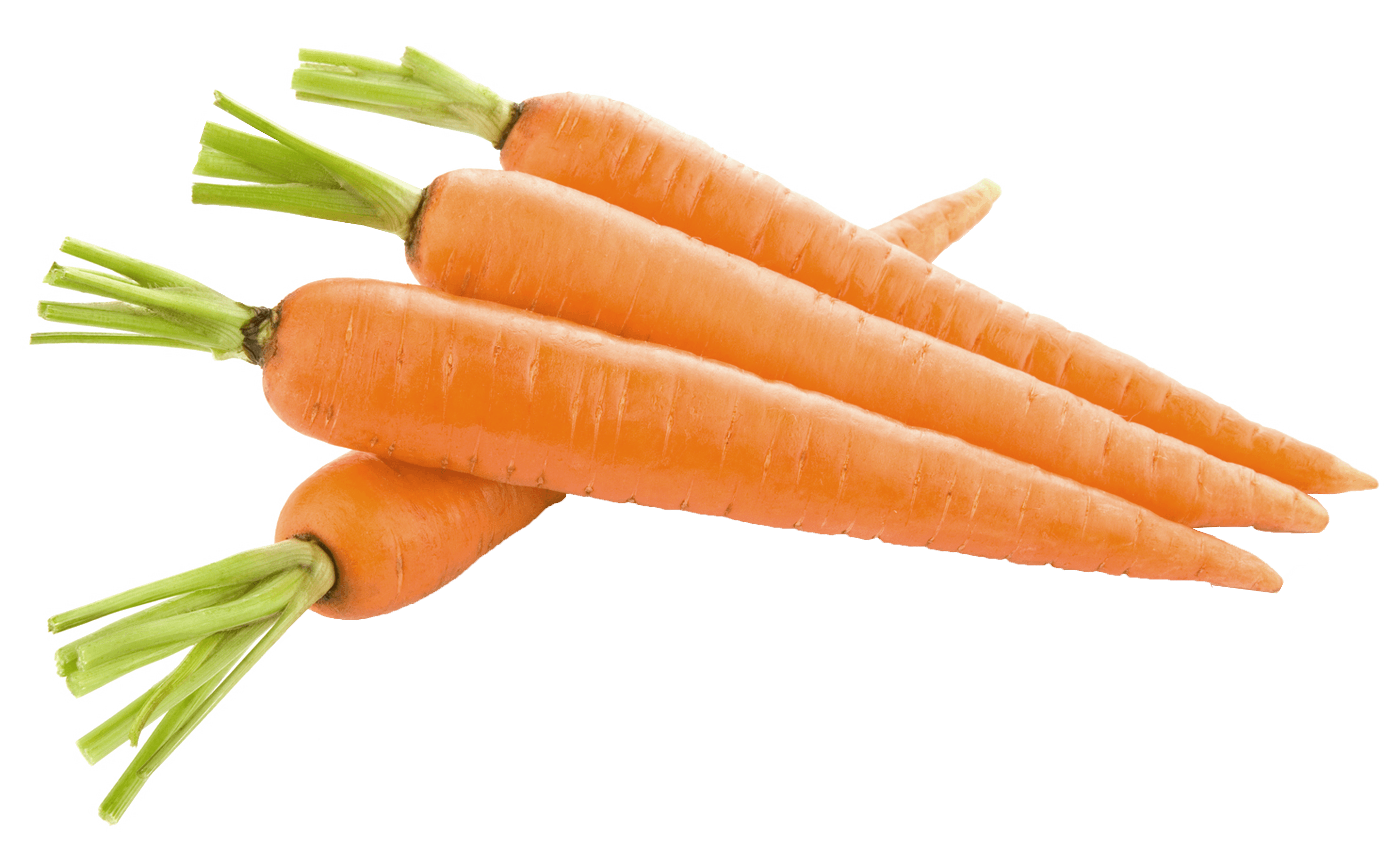 Carrot Transparent PNG Image