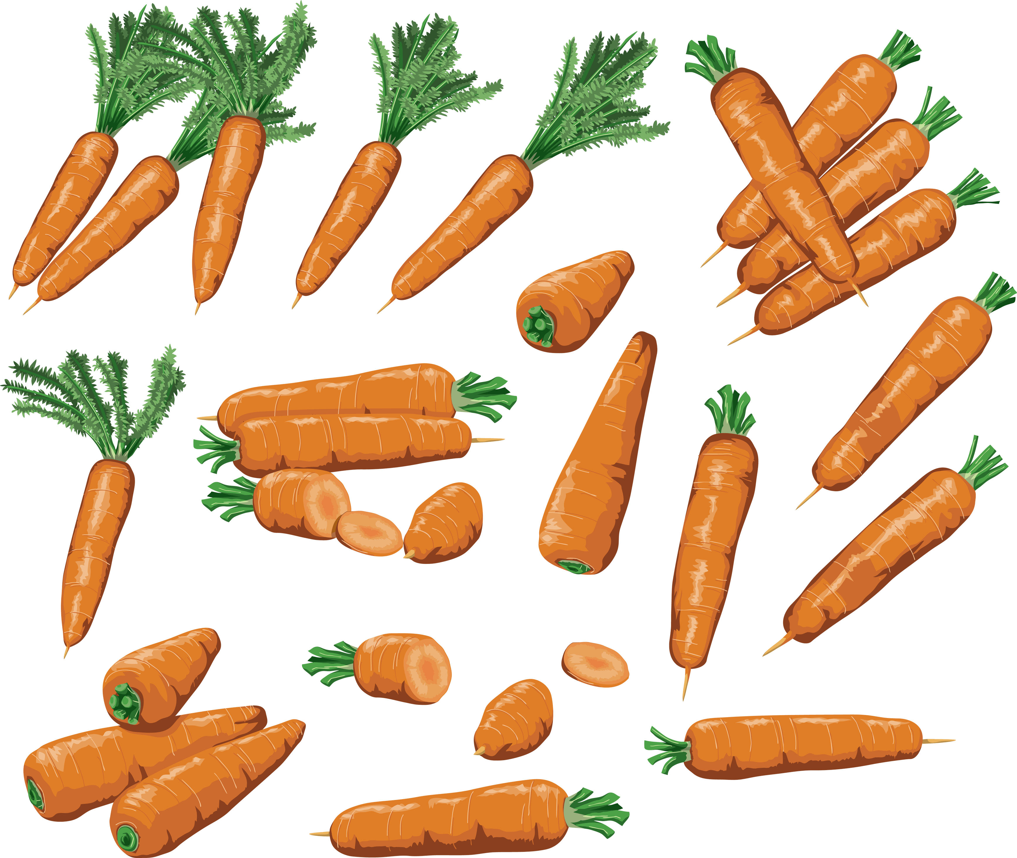 Carrots Transparent PNG Image
