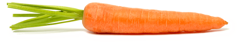 Carrot Transparent PNG Image