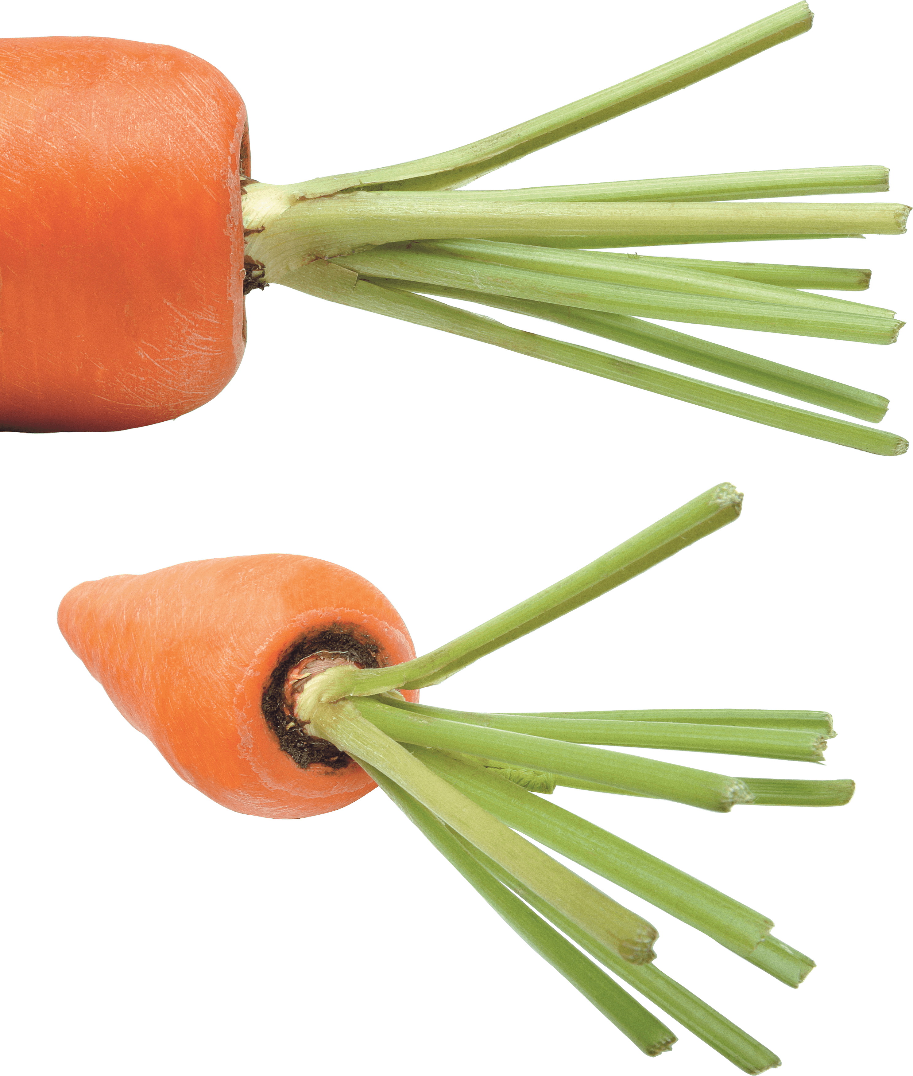 Carrot Transparent PNG Image