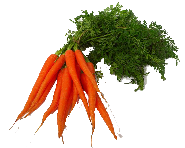 Carrot Transparent PNG Image