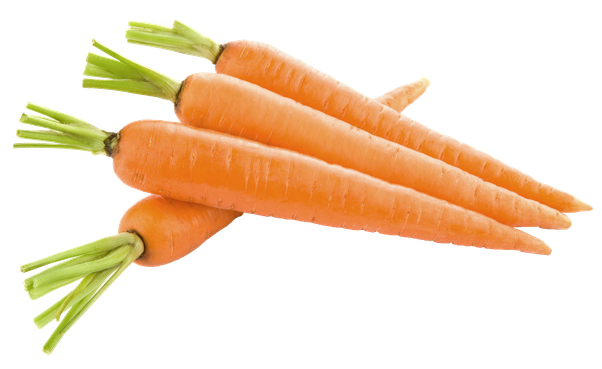 Carrot Slices Transparent PNG Image
