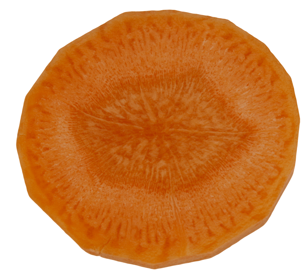 Carrot Slices Transparent PNG Image