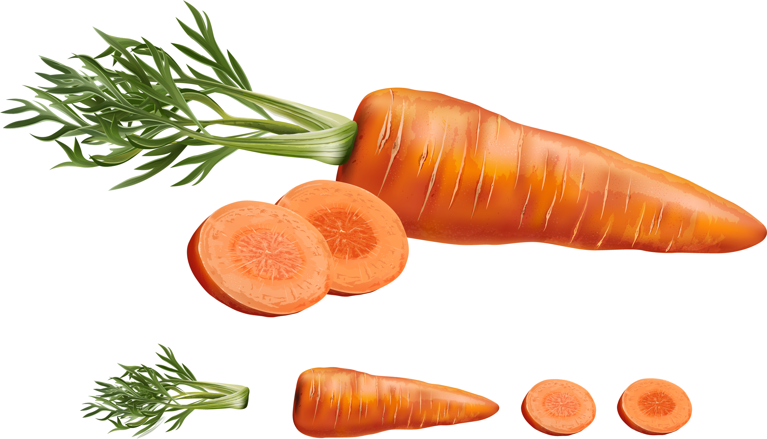 Slice Carrot Slices Transparent PNG Image