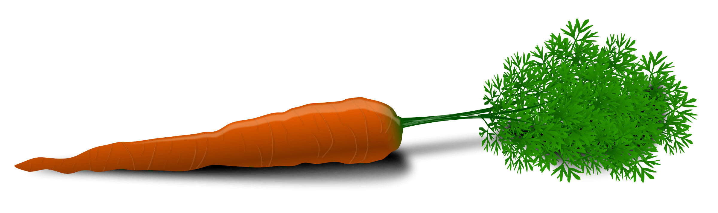 Carrot Transparent PNG Image