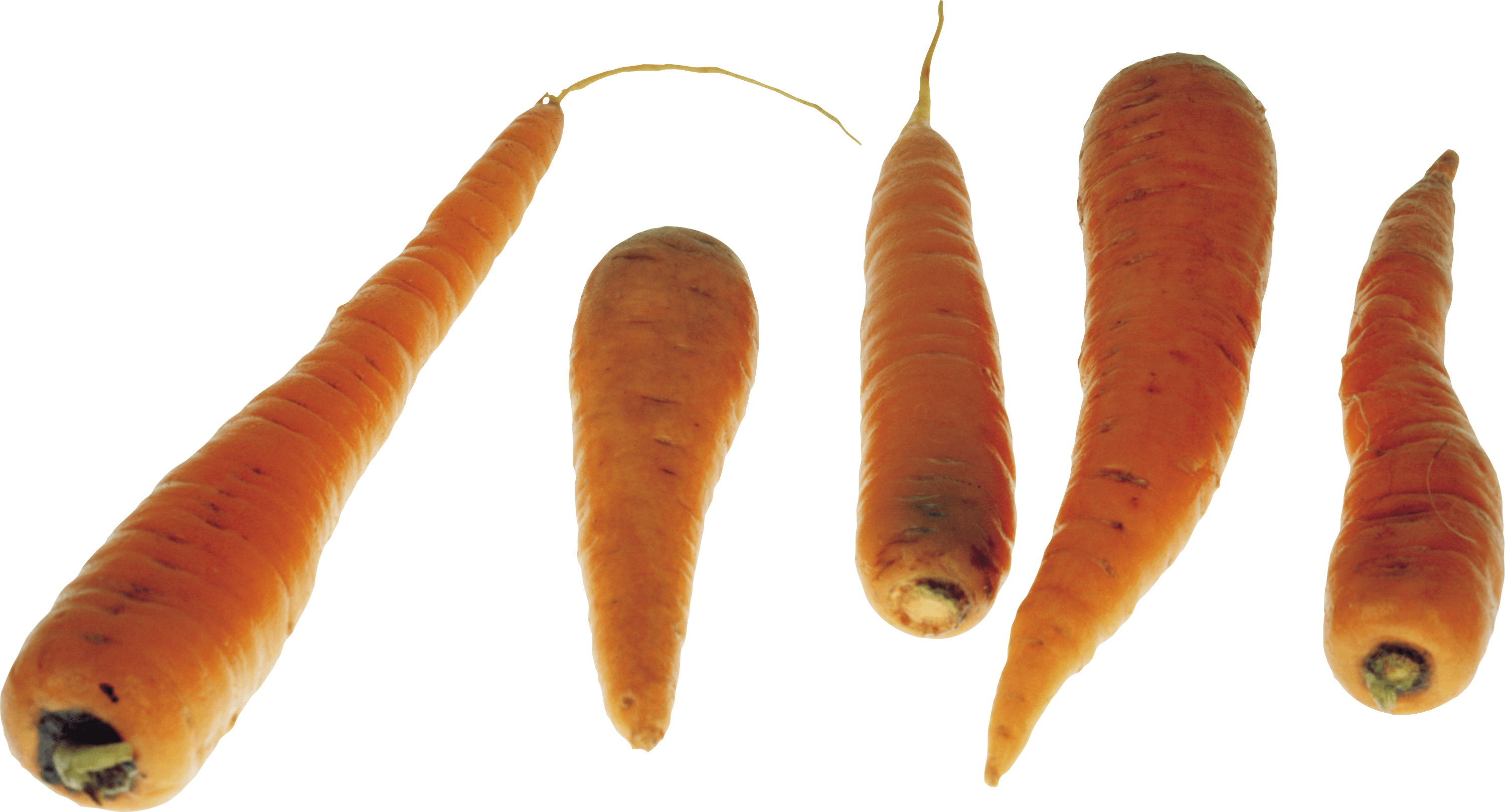 Carrots Transparent PNG Image