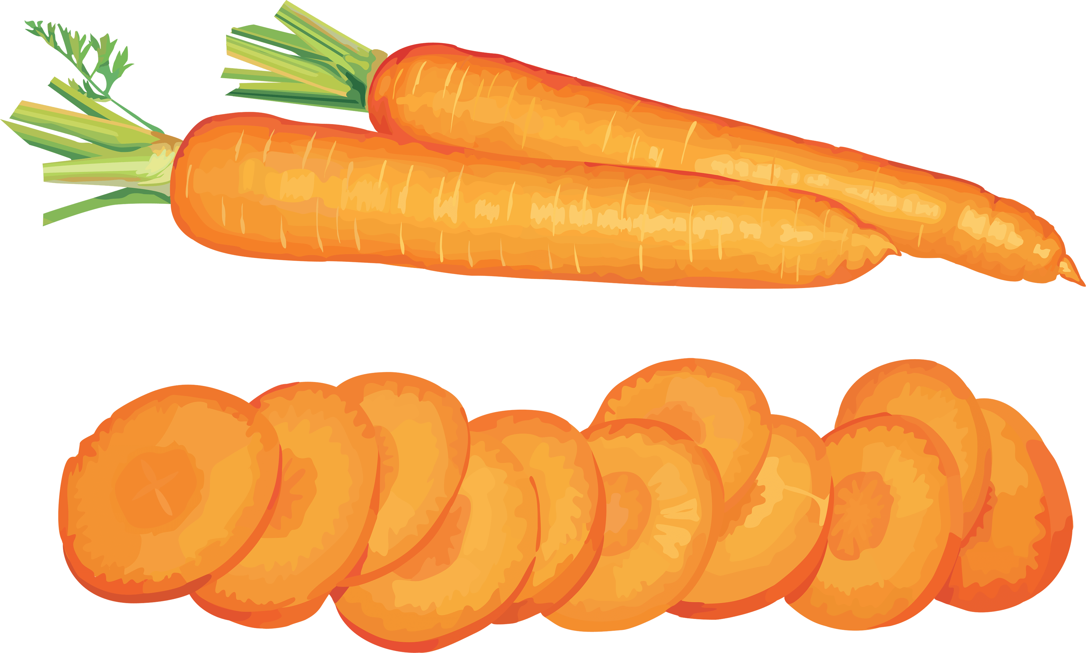 Carrot Transparent PNG Image