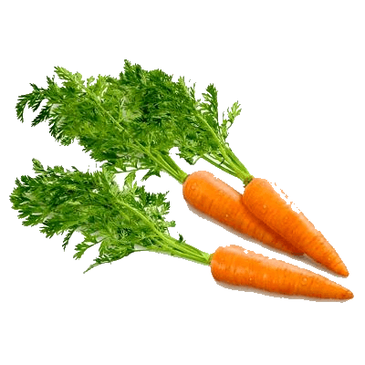 Carrot Transparent PNG Image
