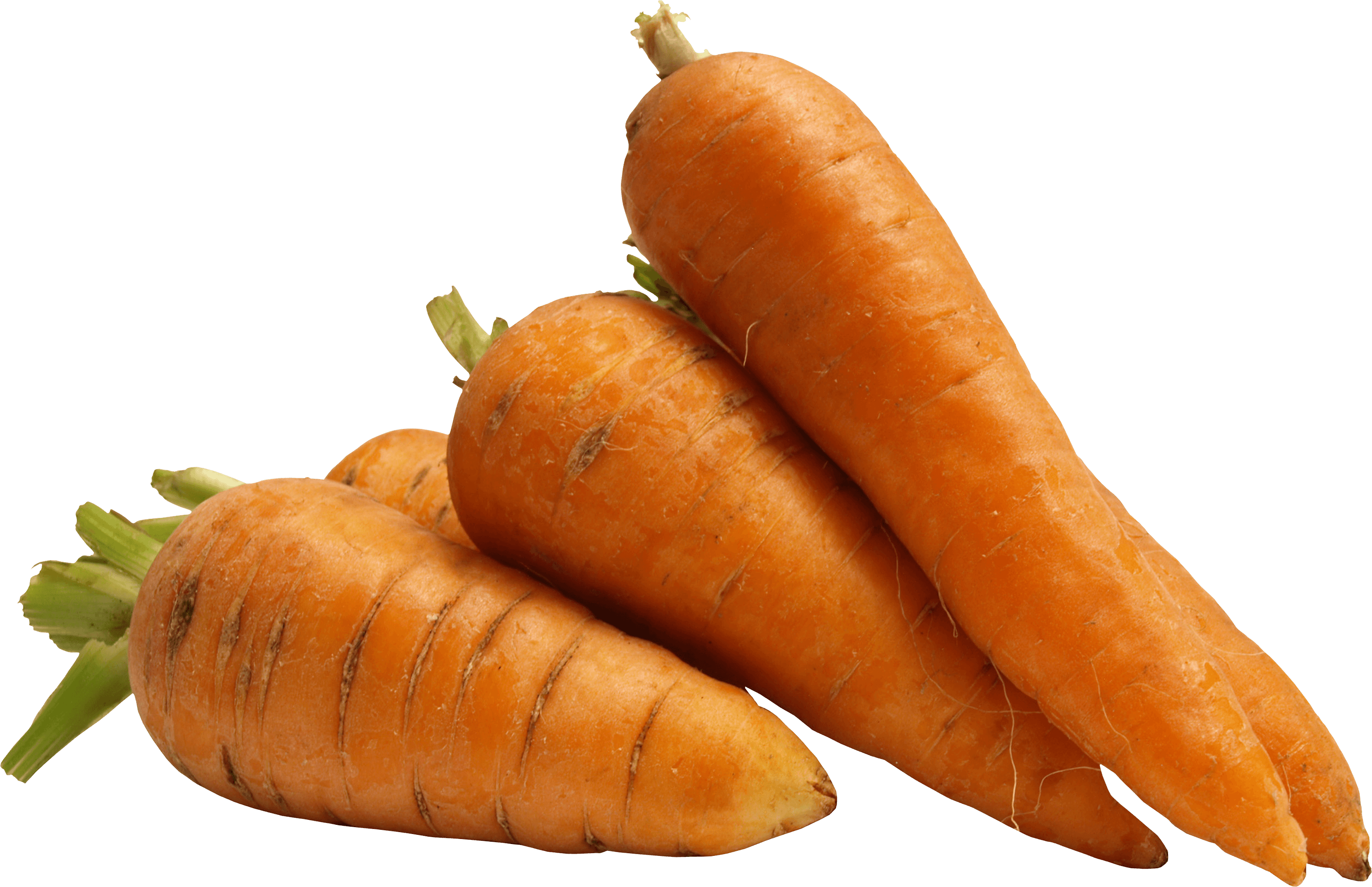 Carrot Transparent PNG Image
