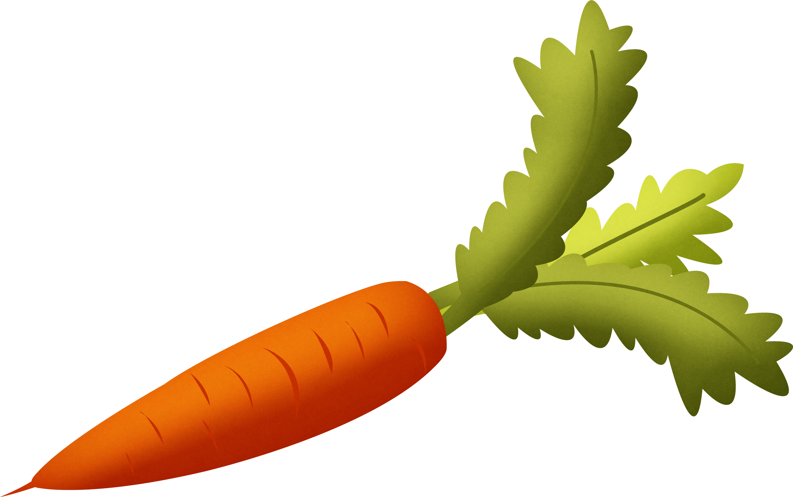 Carrot Transparent PNG Image