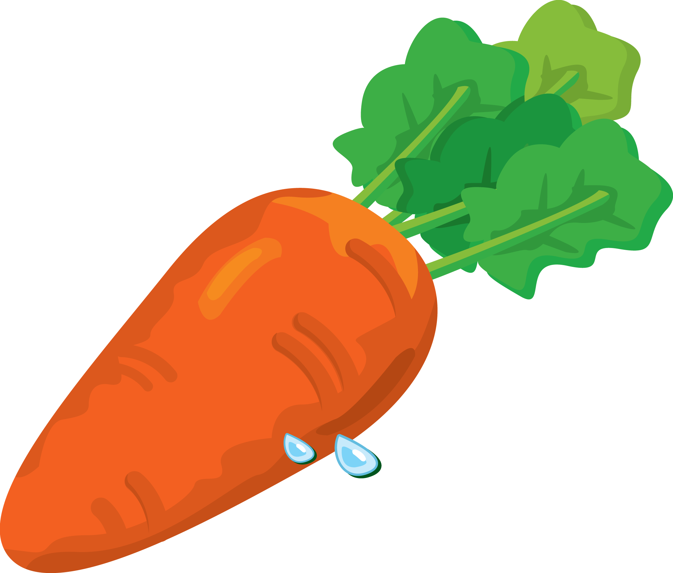 Carrot Transparent PNG Image