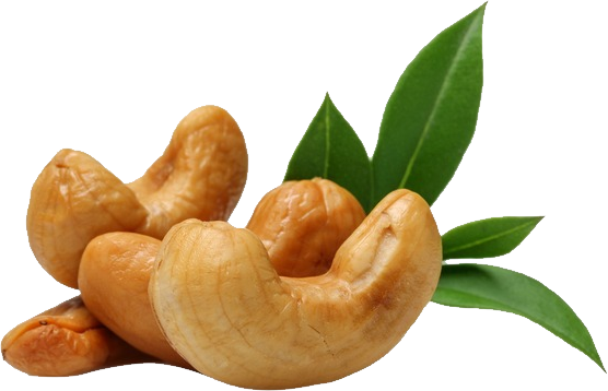 Nut Cashew Organic Transparent PNG Image