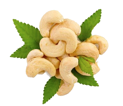 Cashew Transparent PNG Image