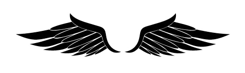 Half Wings Transparent PNG Image