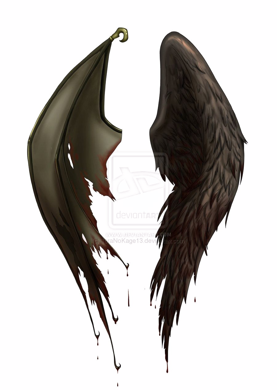 Half Wings Transparent PNG Image