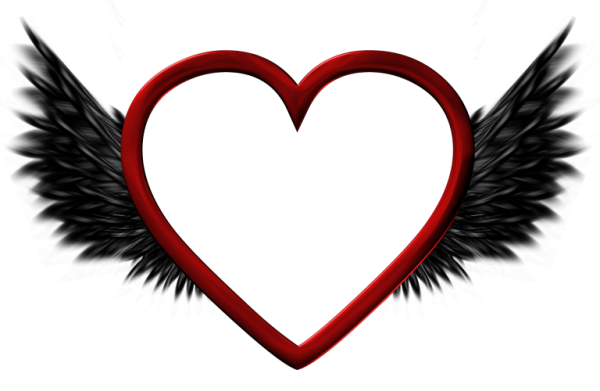 Half Wings Transparent PNG Image