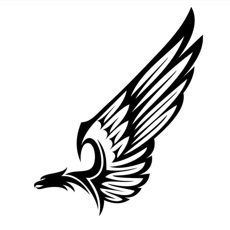 Half Wings Transparent PNG Image