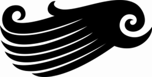 Half Wings Transparent PNG Image
