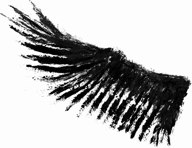 Half Wings Transparent PNG Image