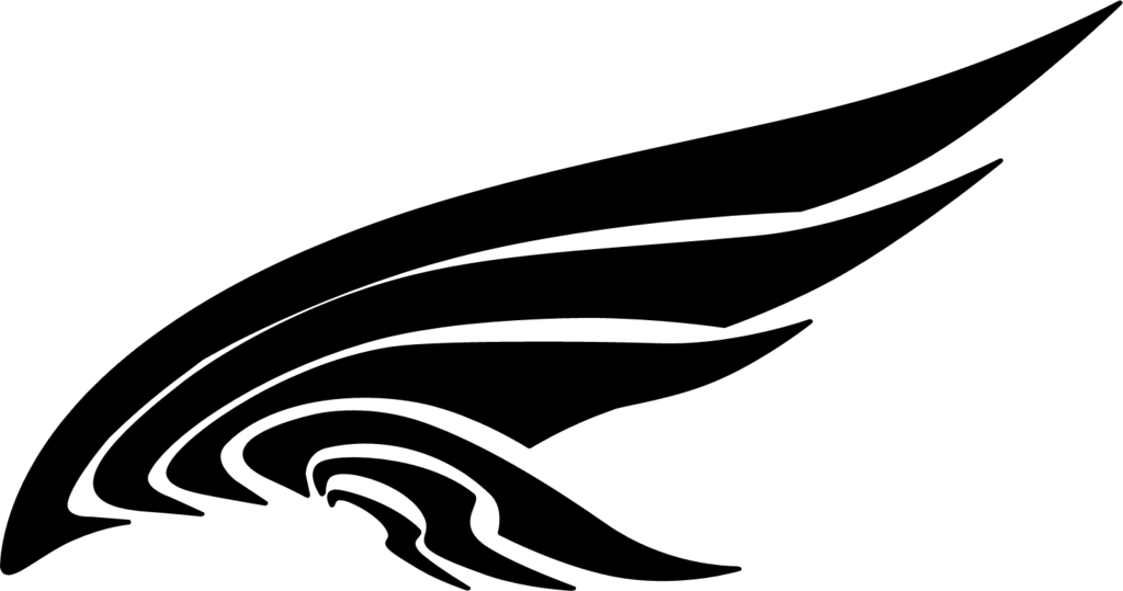 Half Wings Transparent PNG Image