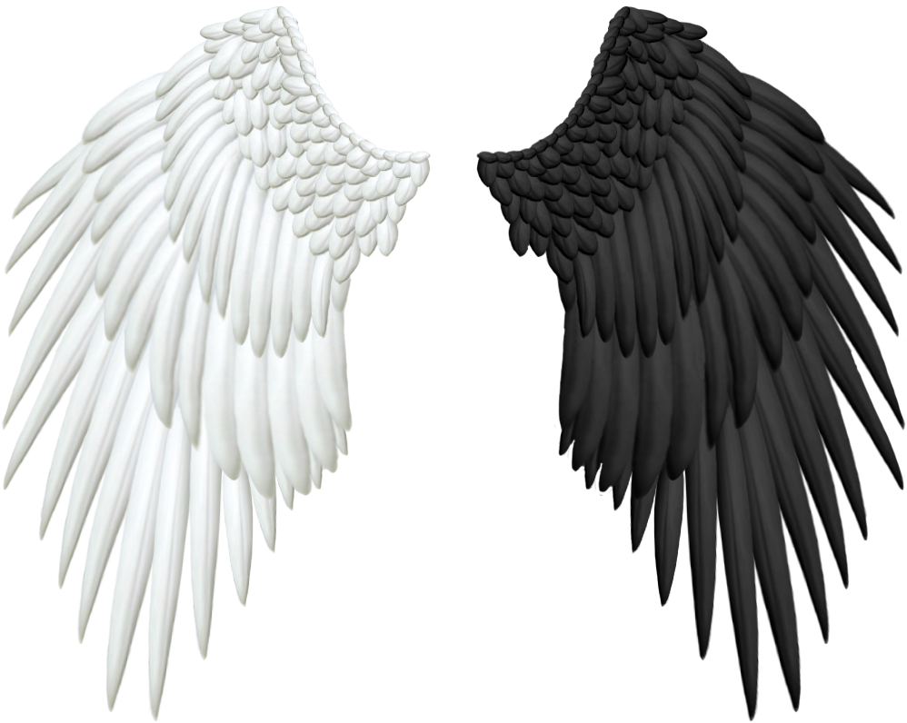 Half Wings Transparent PNG Image