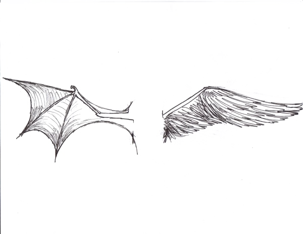 Half Wings Transparent PNG Image