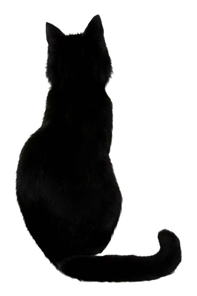 Vector Black Cat Transparent PNG Image