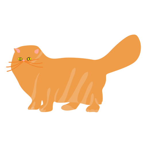 Vector Cat Transparent PNG Image