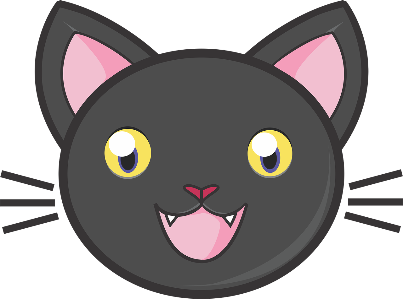Vector Cat Face Transparent PNG Image
