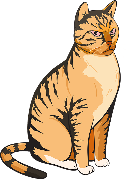 Wild Vector Cat Transparent PNG Image