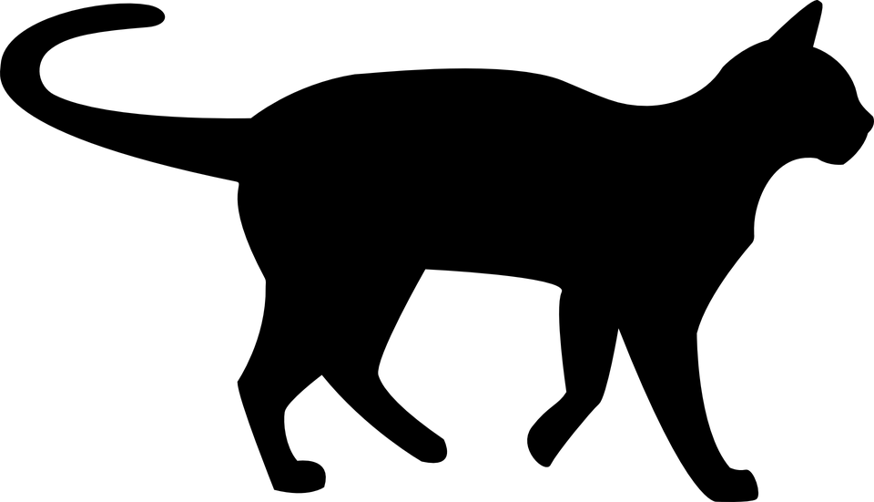 Wild Vector Cat Transparent PNG Image