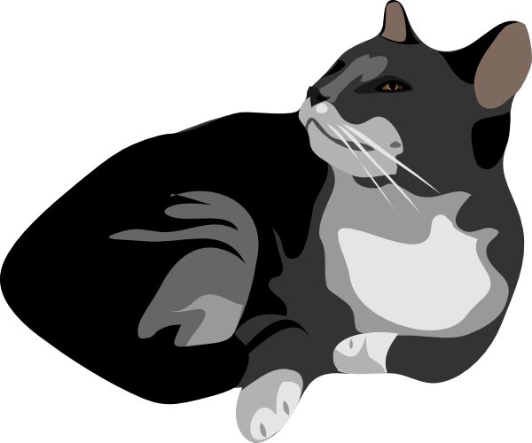 Wild Vector Cat Transparent PNG Image
