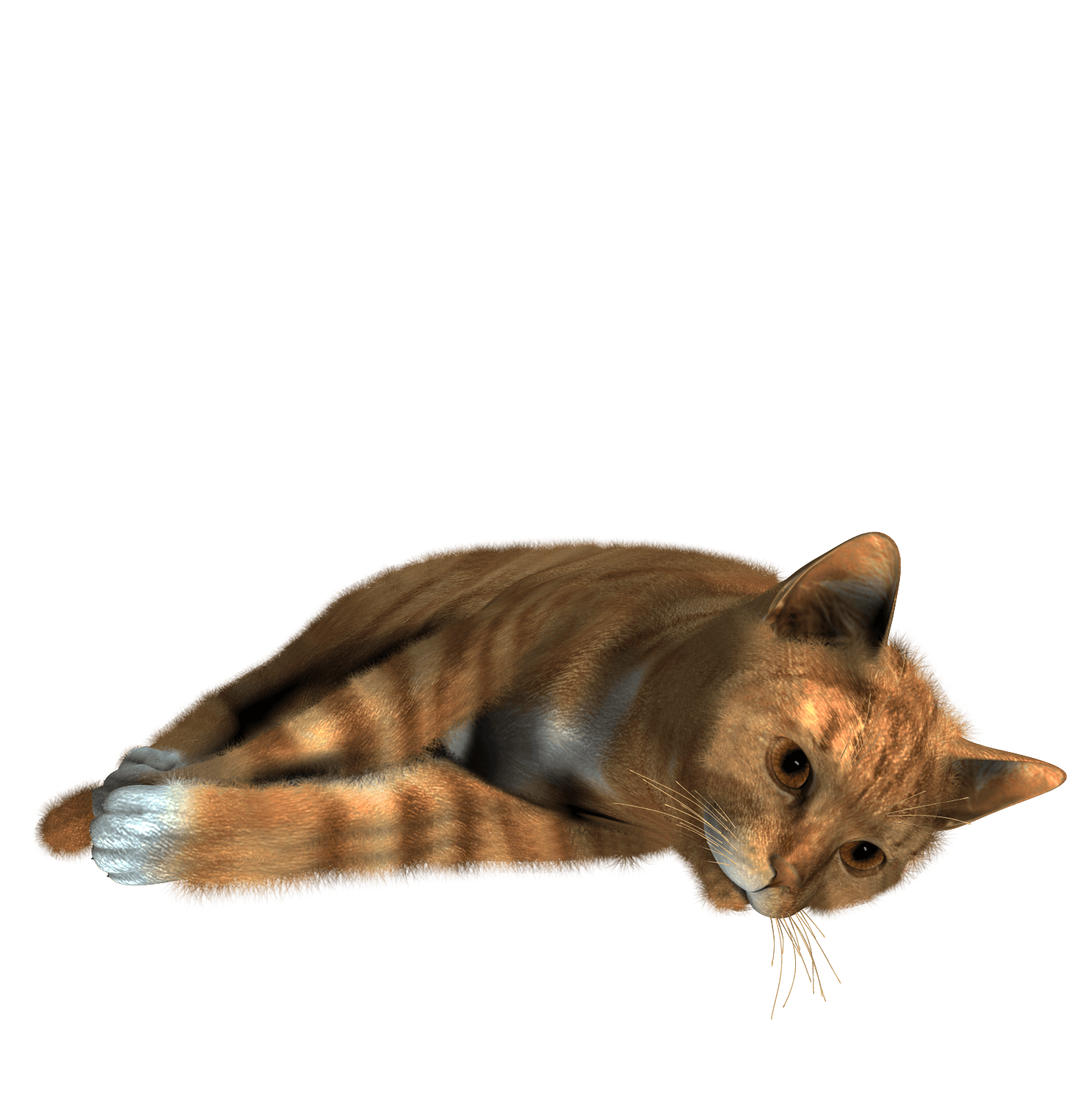 Cat Transparent PNG Image