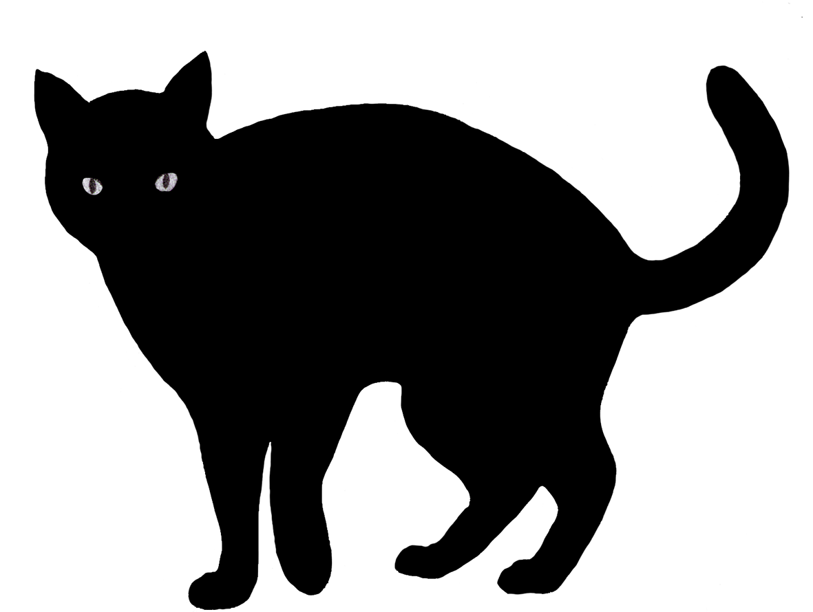 Black Cat Transparent PNG Image