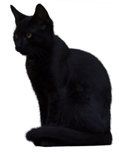 Black Cat Transparent PNG Image