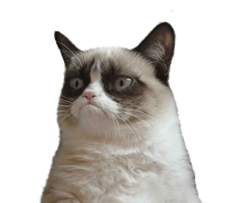 Grumpy Cat Transparent PNG Image