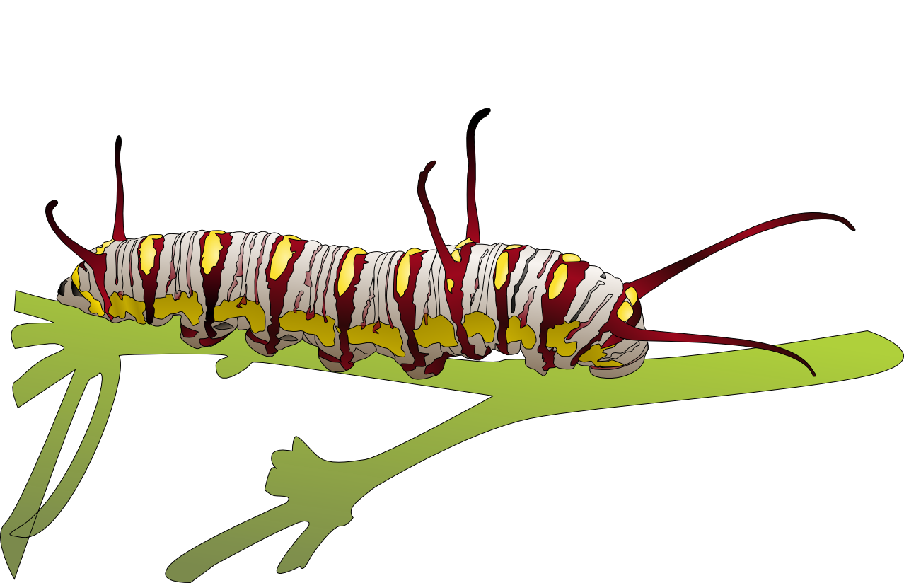 Caterpillar Transparent PNG Image