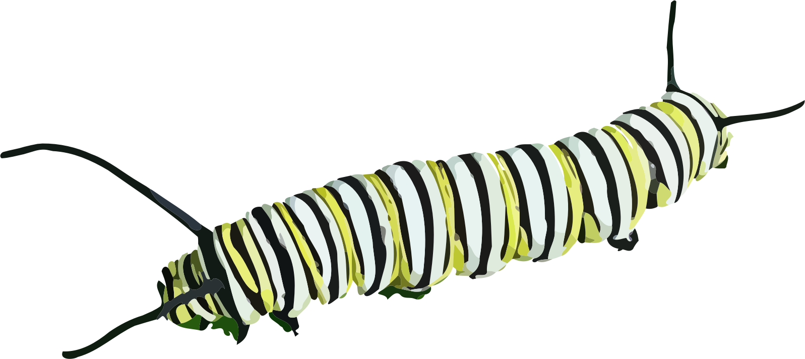 Caterpillar File Transparent PNG Image