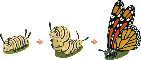 Caterpillar Transparent PNG Image