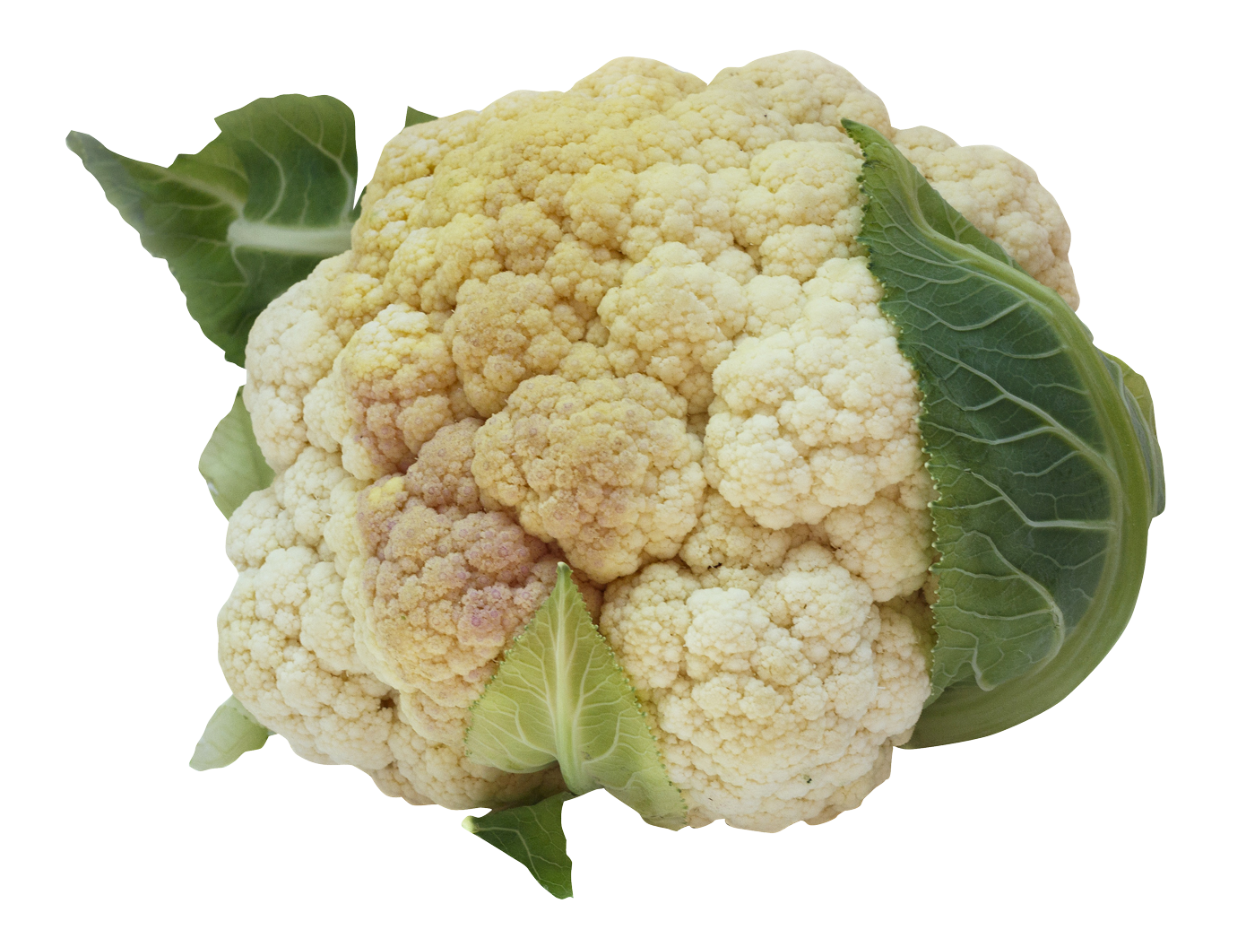 Cauliflower Transparent PNG Image