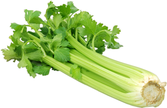 Celery Fresh Green Transparent PNG Image