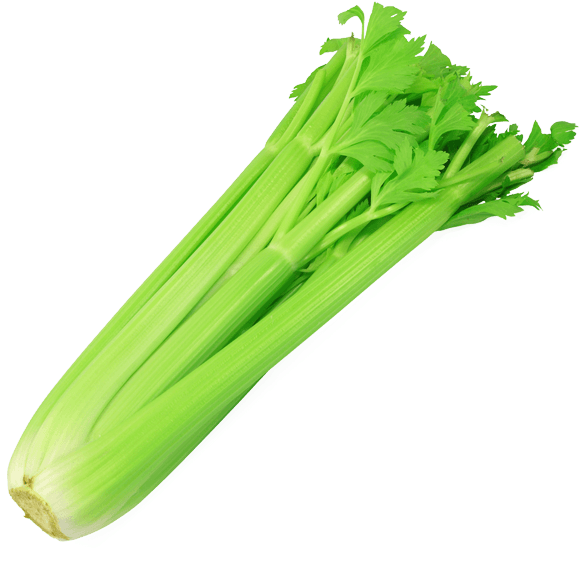 Celery Fresh Green Transparent PNG Image