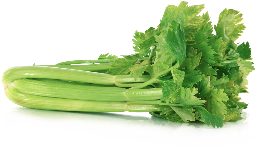Celery Fresh Green Transparent PNG Image