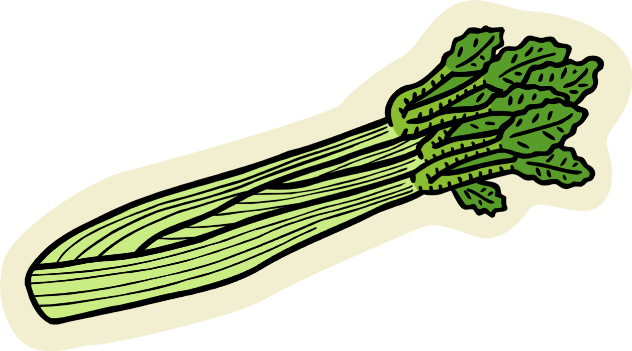 Celery Green Transparent PNG Image